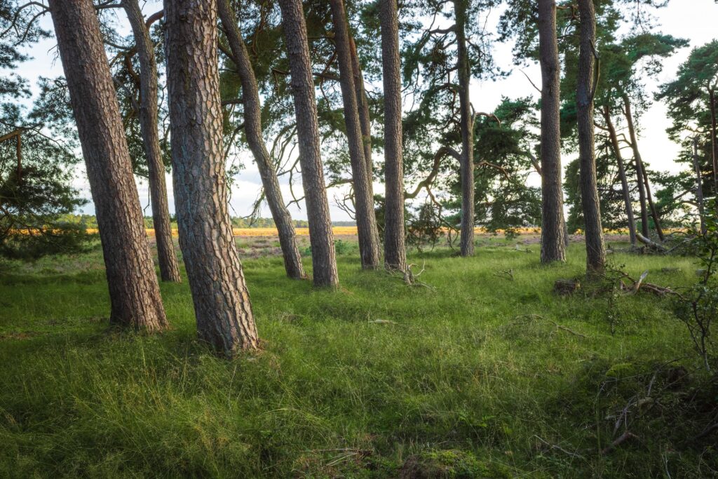 Energielabel aanvragen Gelderland