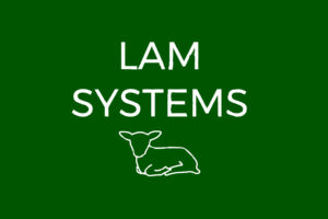 Lam-Systems